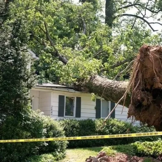 Storm & Wind Damage Repair Services in Columbus, OH